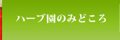 ハーブ園のみどころ