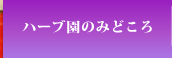 ハーブ園のみどころ
