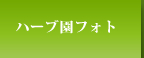 ハーブ園フォト