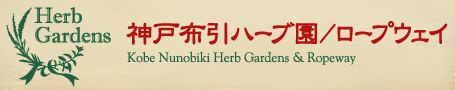 神戸布引ハーブ園／ロープウェイ
