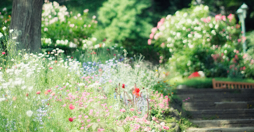 四季の庭 - くつろぎの庭 -