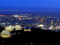 Night View of Kobe
