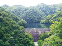 Gohonmatsu Entei (Nunobiki  Gohonmatsu Dam)