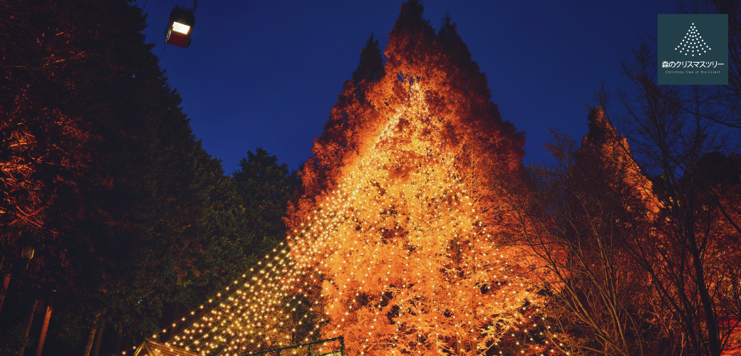 森のクリスマスツリー