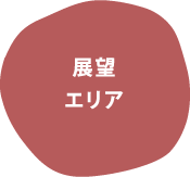 展望エリア