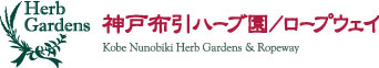 神戸布引ハーブ園/ロープウェイ