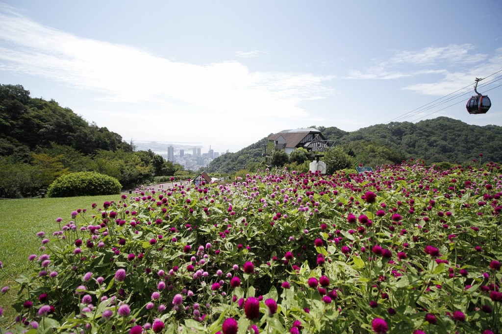 風の丘芝生広場