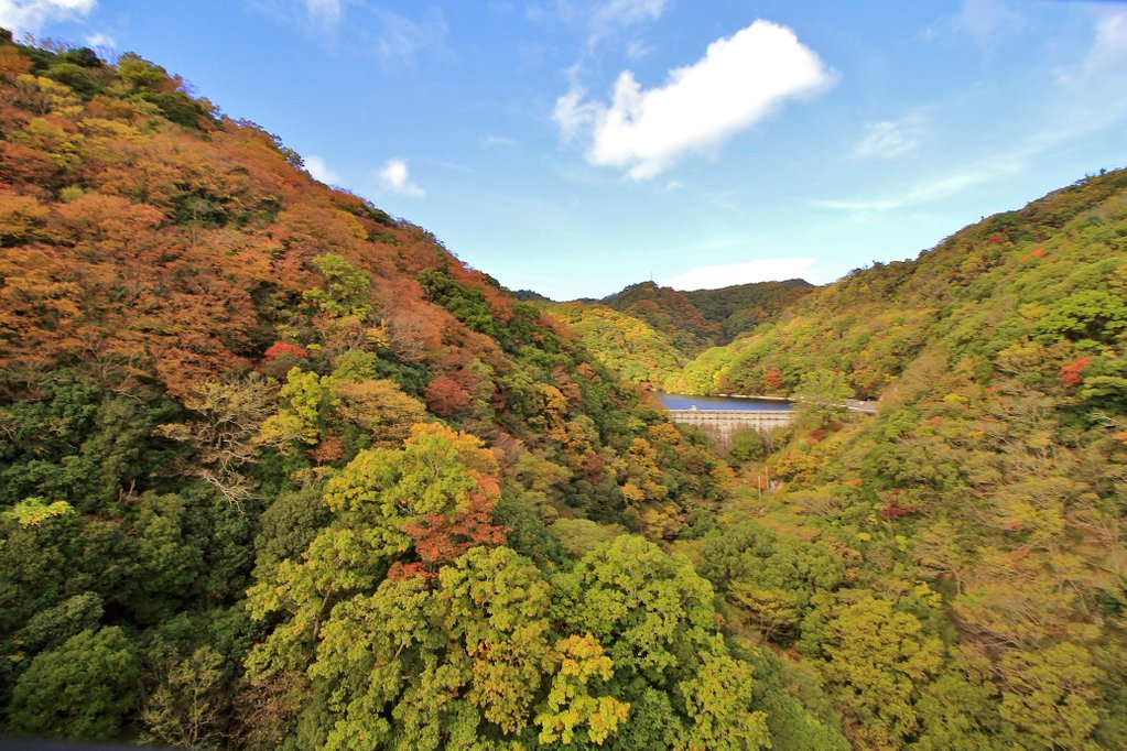 ロープウェイから眺める紅葉と五本松堰堤（ダム）