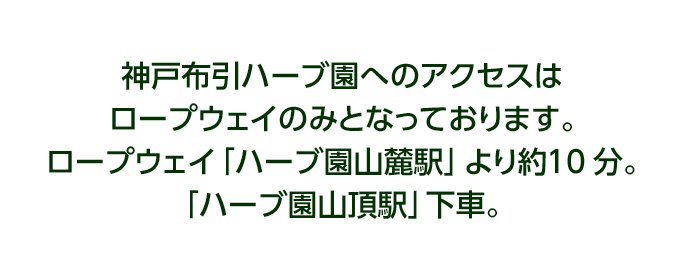 アクセス 布引 ハーブ 園