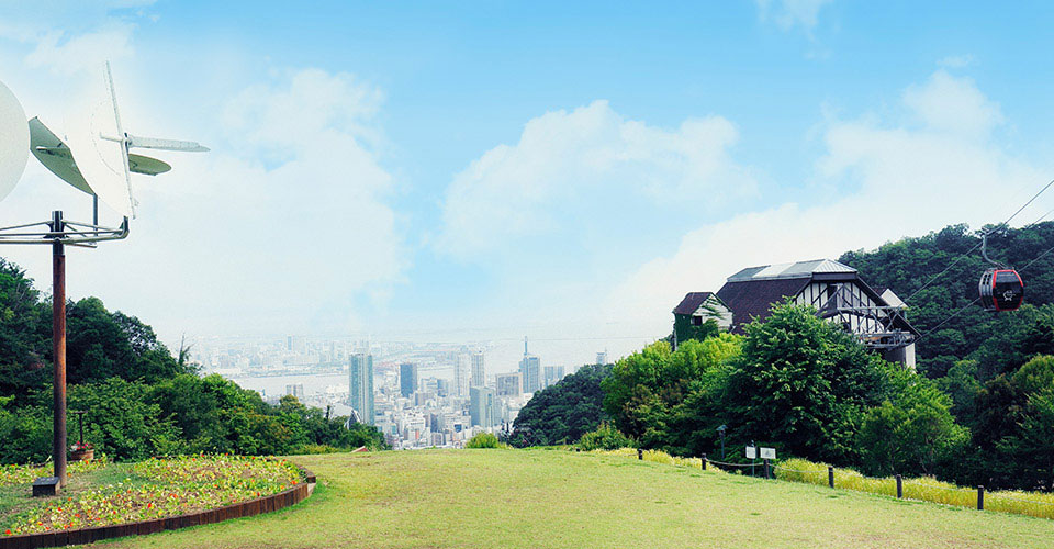 바람의 언덕 잔디 광장