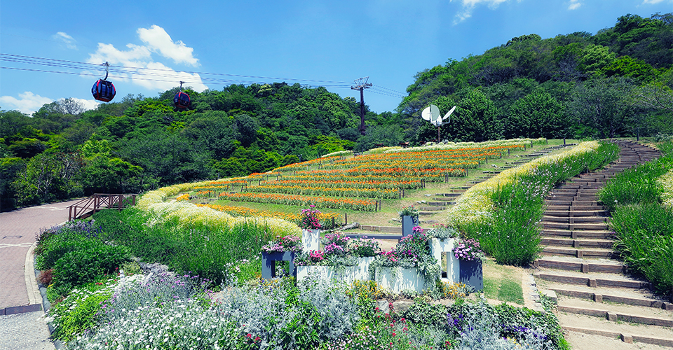 風の丘フラワー園