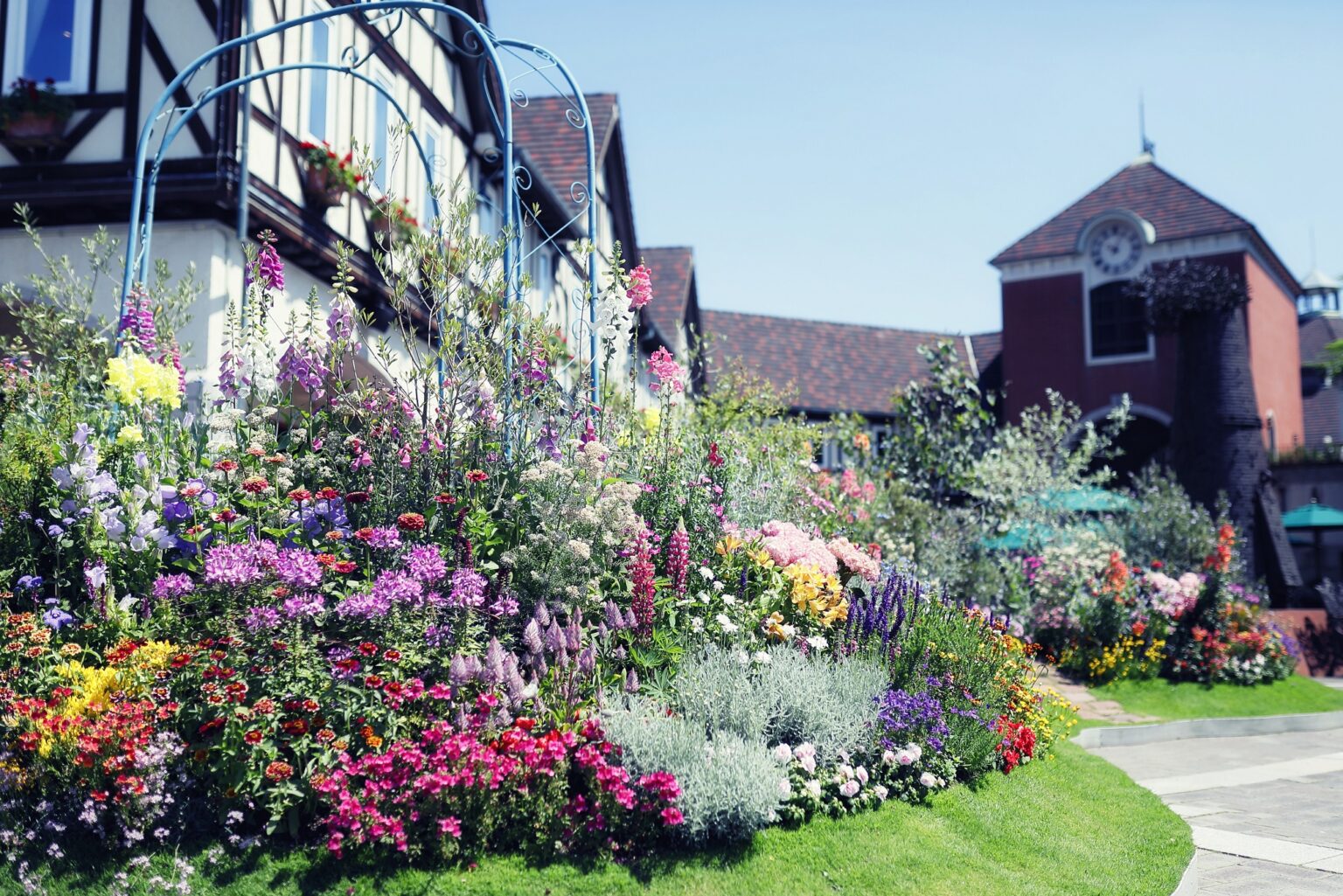 Lavendar & Rose Fair 2021 ハーブガーデン最盛期 神戸布引ハーブ園/ロープウェイ Lavendar & Rose Fair 2021 ハーブガーデン最盛期 神戸布引ハーブ園/ロープウェイ