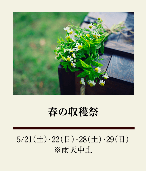 春の収穫祭：5/21（土）、5/22（日）、5/28（土）、5/29（日） ※雨天中止