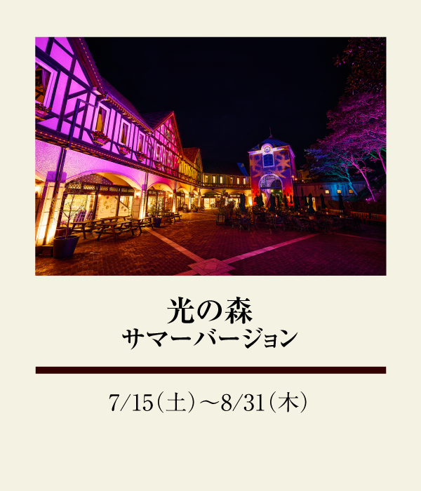 光の森 サマーバージョン：7/15（土）〜 8/31（木）