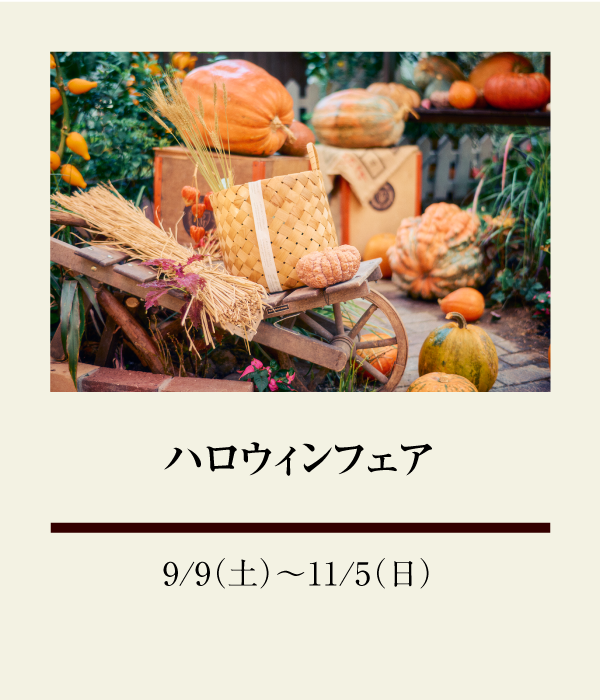 ハロウィンフェア：9/9（土）〜 11/5（日）