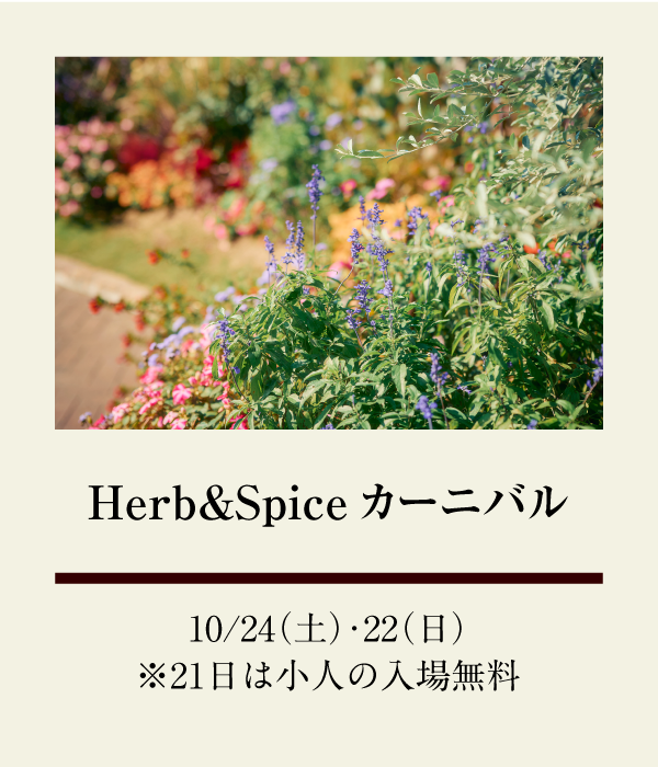 Herb&Spiceカーニバル：10/21（土）、10/22（日） ※21日は小人の入場無料