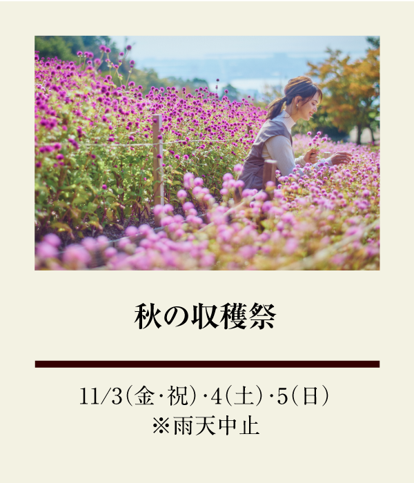 秋の収穫祭：11/3（金・祝）、11/4（土）、11/5（日） ※雨天中止