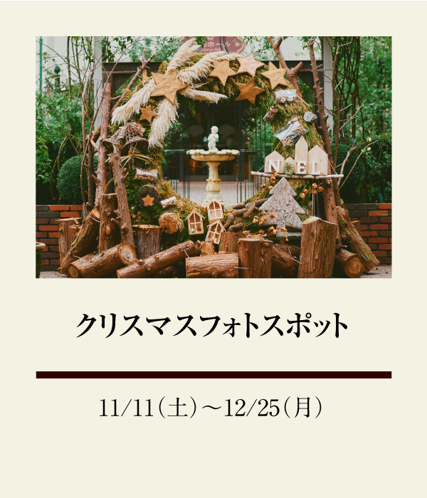 クリスマスフォトスポット：11/11（土）〜 12/25（月）