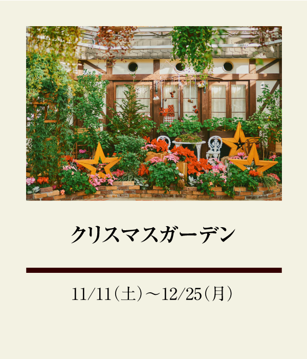 クリスマスガーデン：11/11（土）〜 12/25（月）