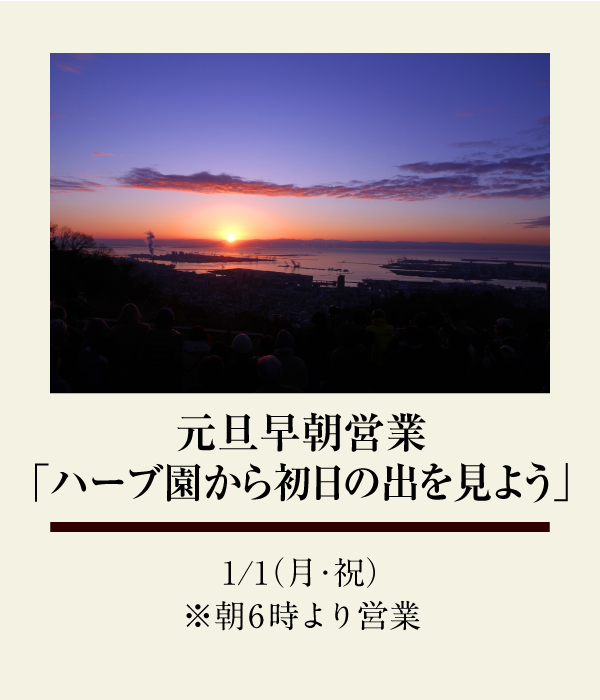 元旦早朝営業
「ハーブ園から初日の出を見よう」：1/1（月・祝）※朝6時より営業