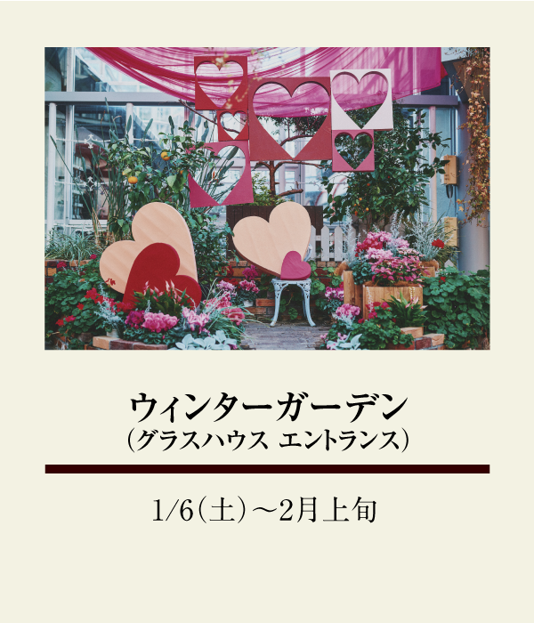 ウィンターガーデン（グラスハウス　エントランス）：1/6（土）〜 2月上旬