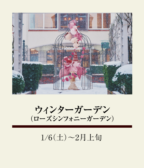 ウィンターガーデン（ローズシンフォニーガーデン）：1/6（土）〜 2月上旬