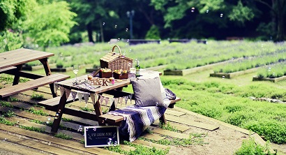 手ぶらでワンランク上のピクニック「ガーデンピクニック-2024秋シーズン-」ご予約受付中