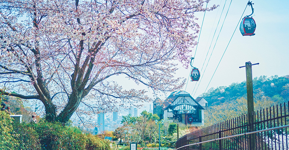 春の山桜