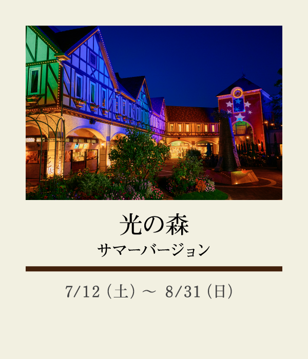 光の森 サマーバージョン：7/12（土）〜 8/31（日）