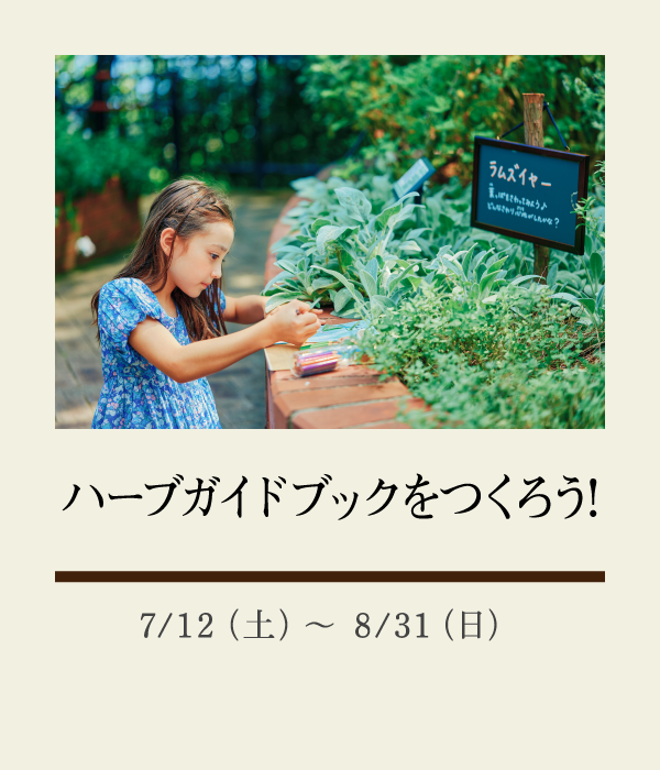 ハーブガイドブックをつくろう！：7/12（土）〜 8/31（日）