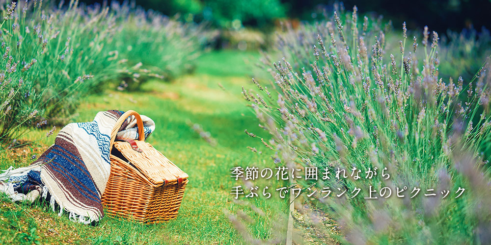 季節の花に囲まれながら、手ぶらでワンランク上のピクニック（ハーブガーデンピクニックイメージ2）