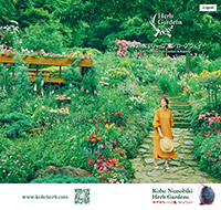 Pamphlet / image of the comprehensive pamphlet