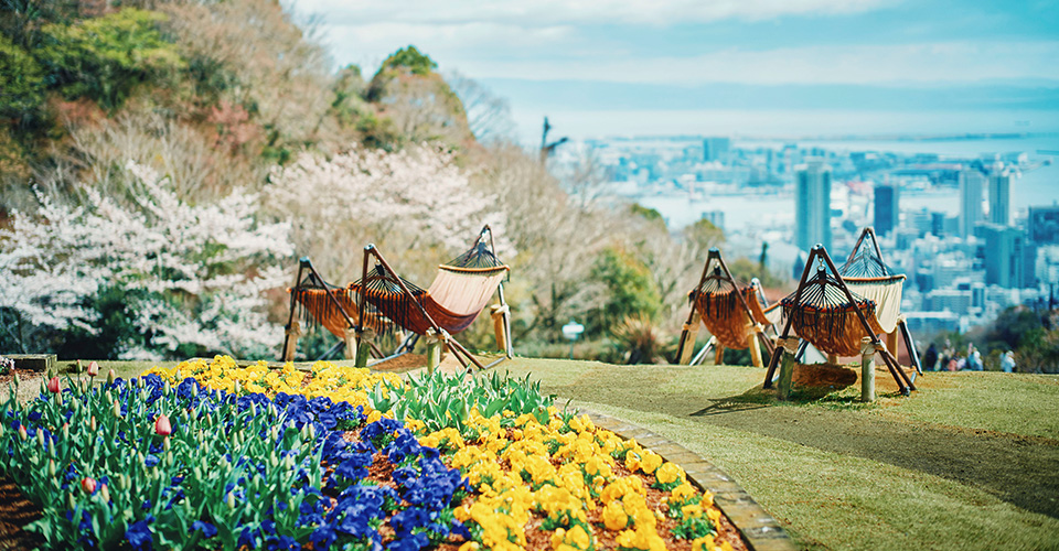 風の丘芝生広場