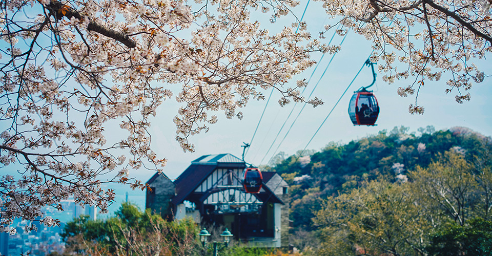 春の山桜