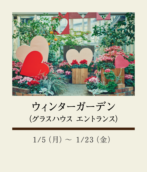ウィンターガーデン（グラスハウス　エントランス）：1/5（月）〜 1/23（金）