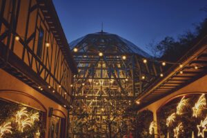 中庭のクリスマス_L1140749