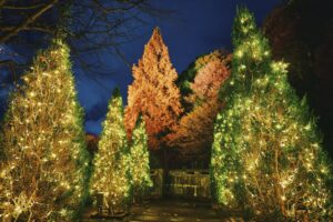 小さなクリスマス_L1140727