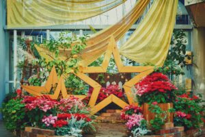 クリスマスガーデン_L1140354