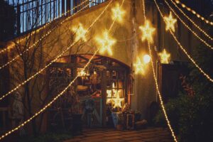 裏庭のクリスマス_L1140390