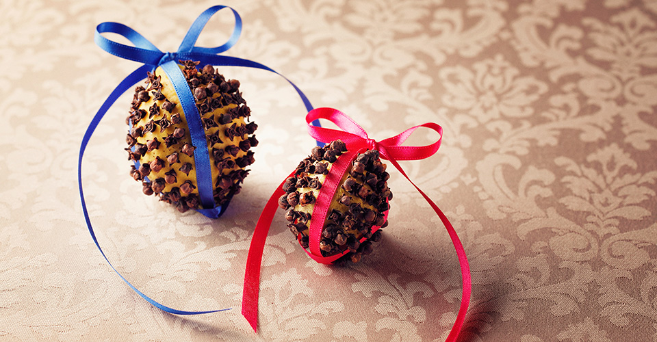 ふれて楽しむフレッシュハーブ イメージ