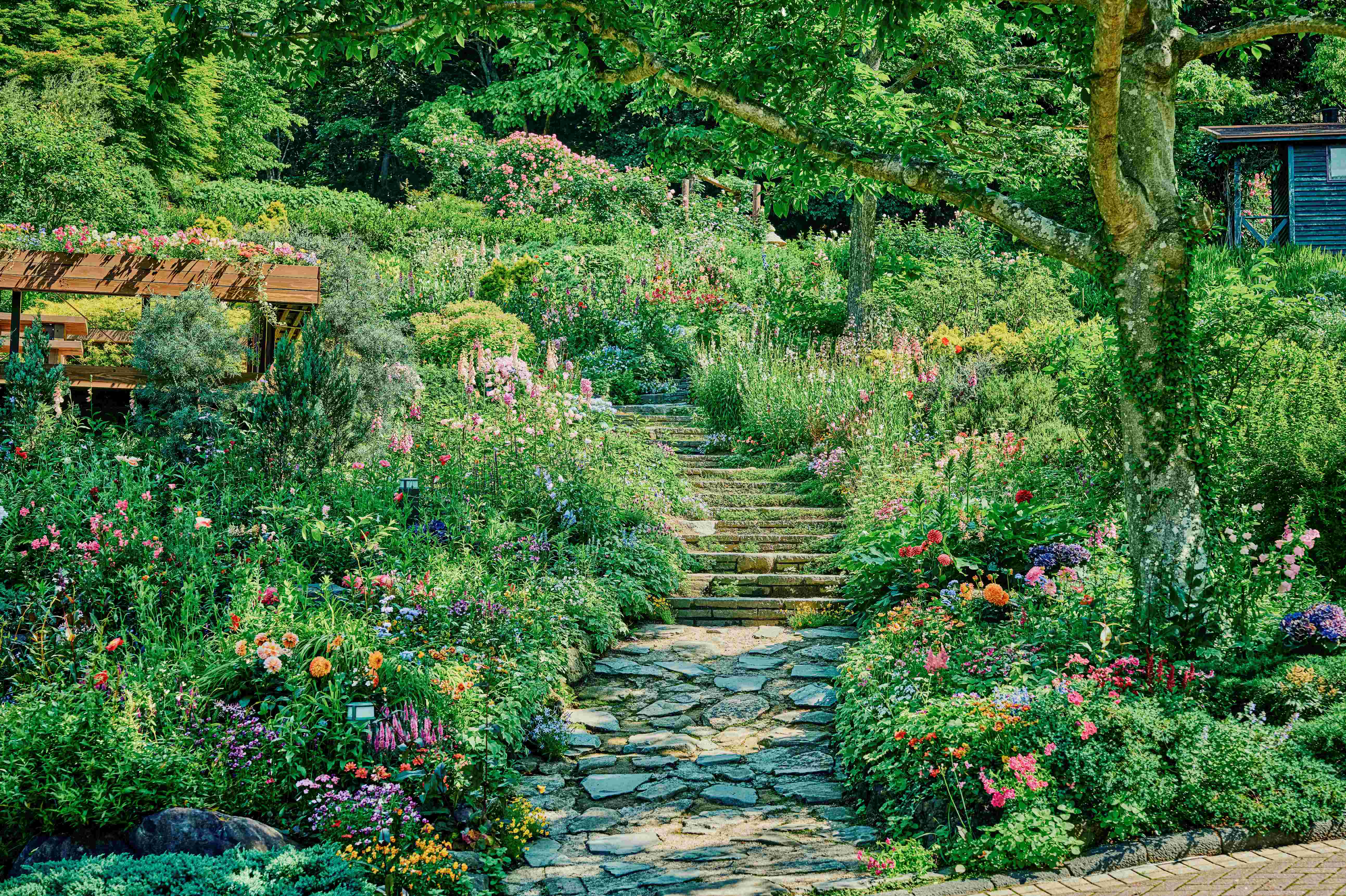 四季の庭_くつろぎの庭_LX_5369