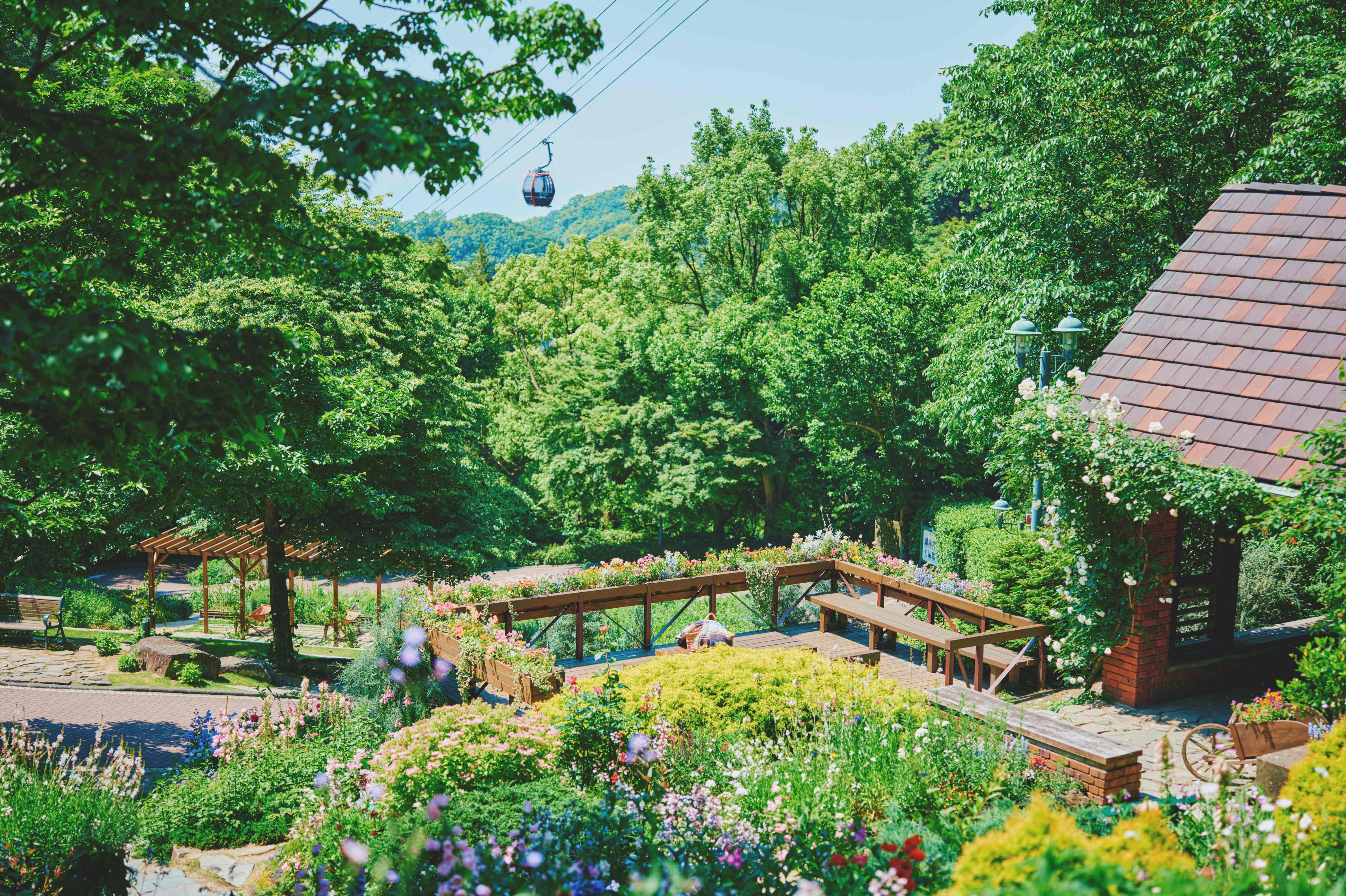 四季の庭_LX_7548