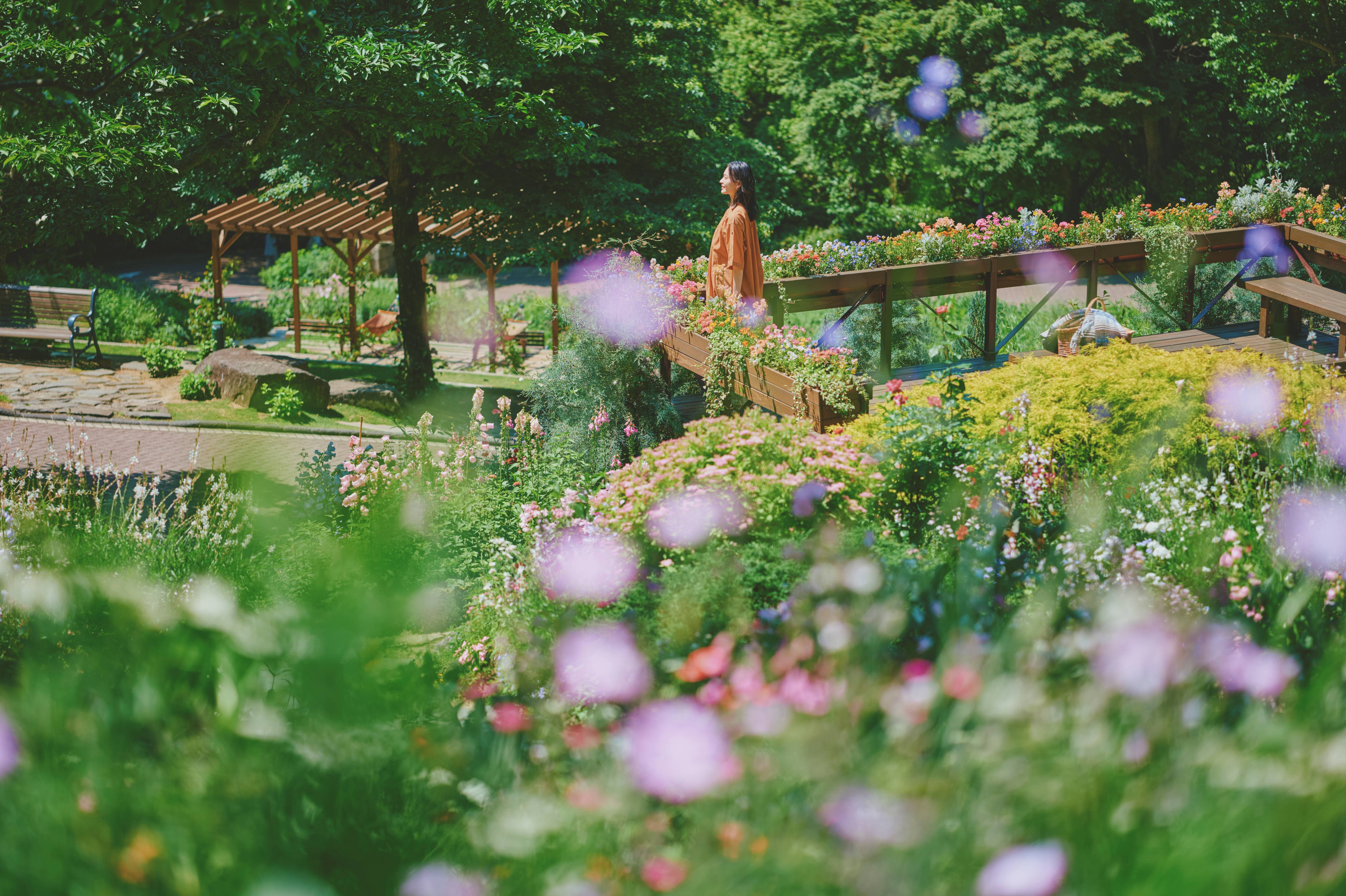 四季の庭_LX_7550