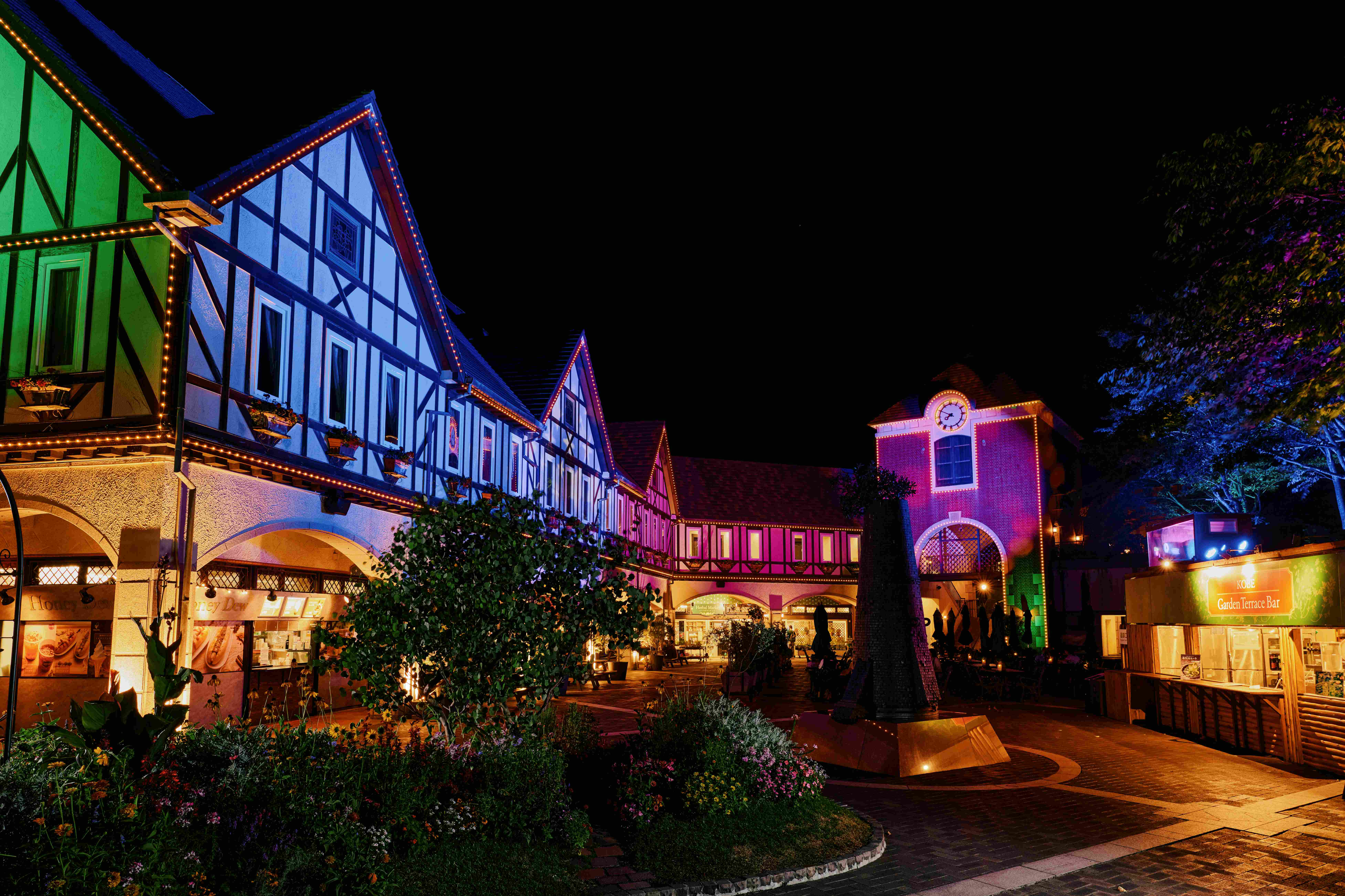 光の森～Forest of Illuminations～森の大聖堂PLXB1509