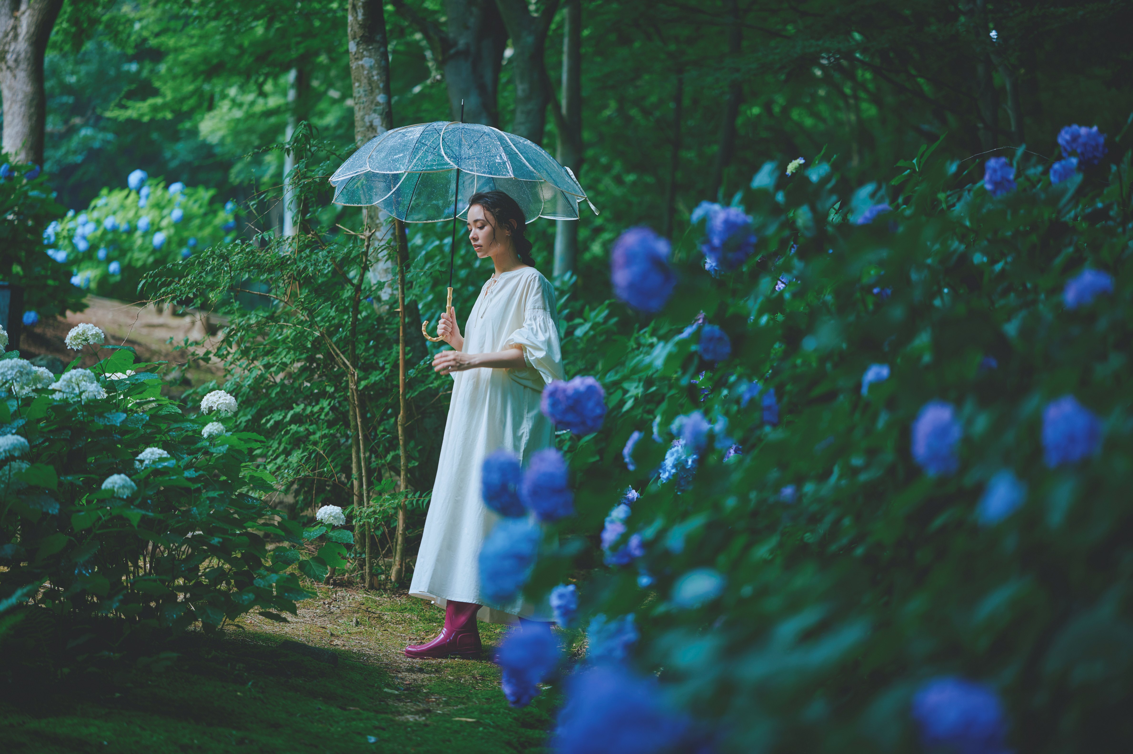 アジサイ_LX_0903補正