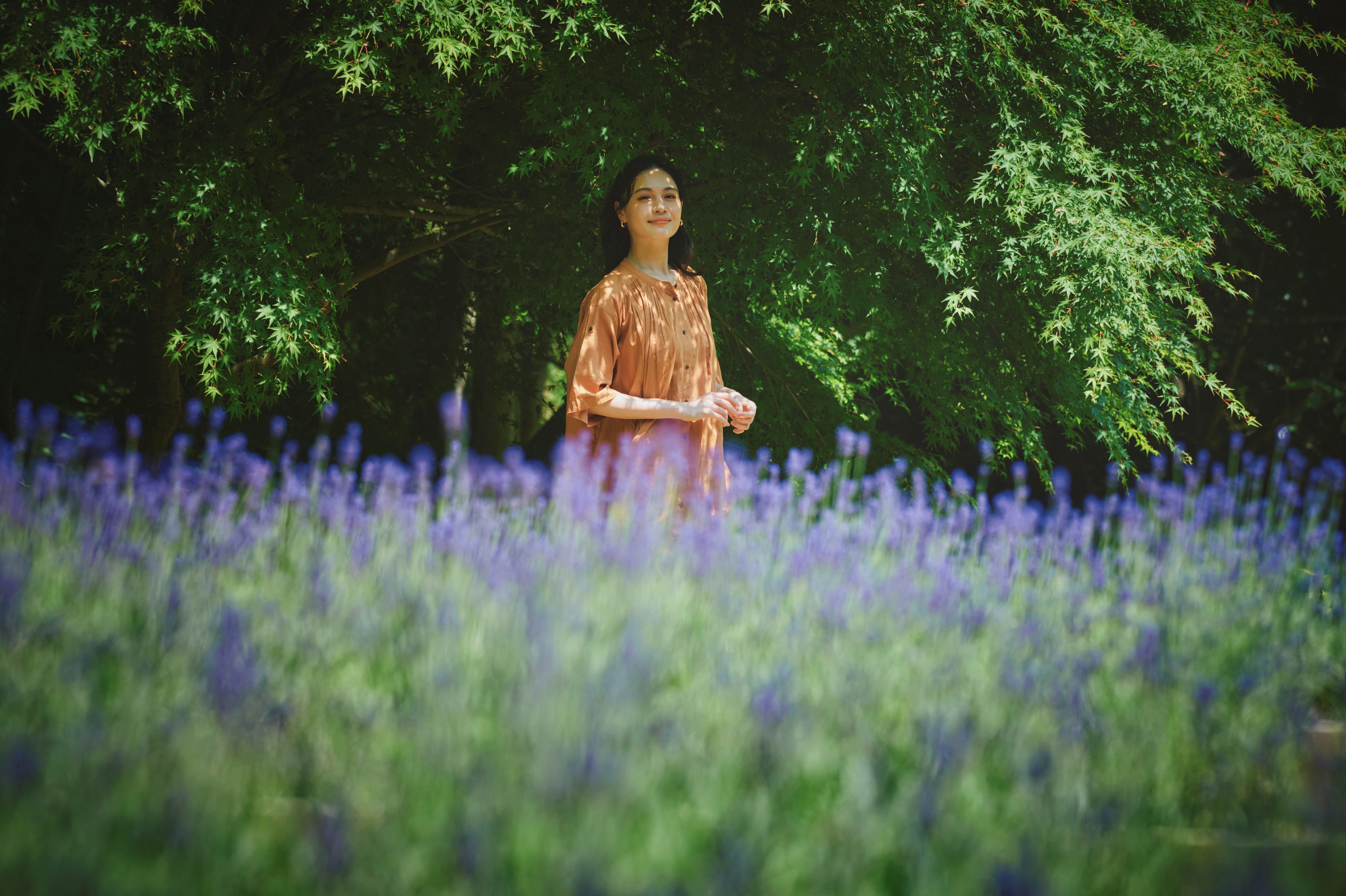 ラベンダー園_LX_7734