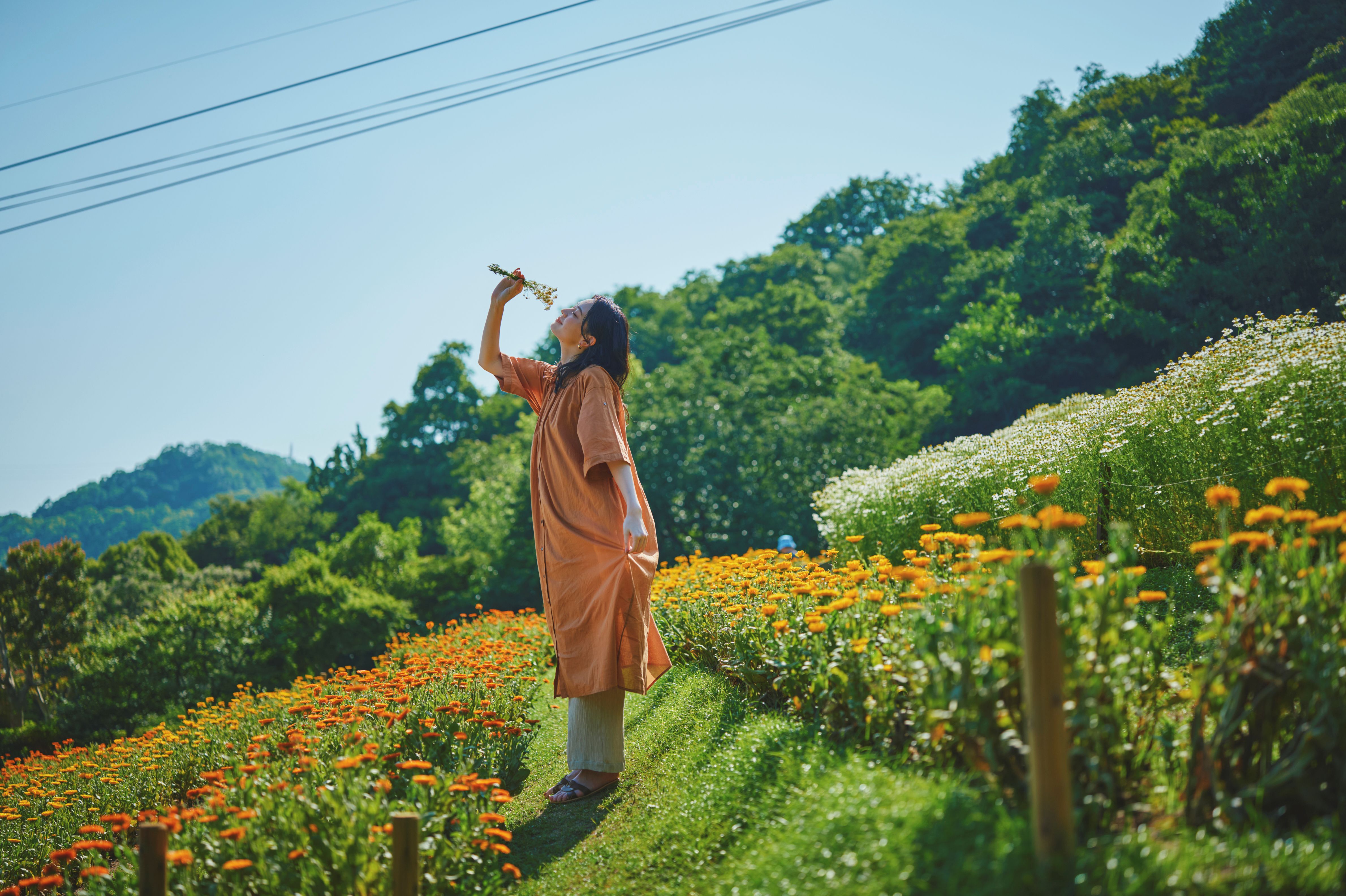 春_風の丘フラワー園_LX_8026