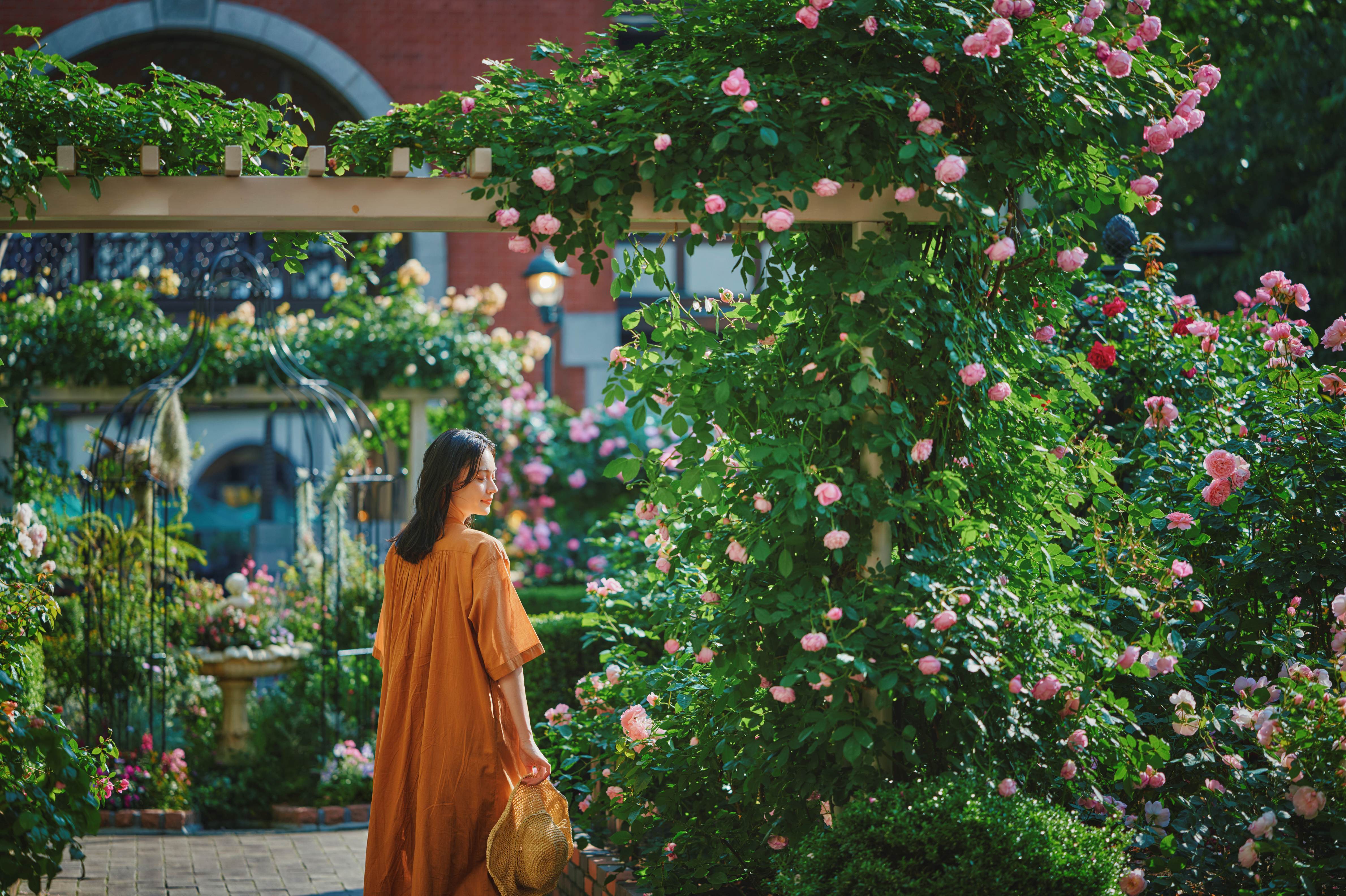 ローズシンフォニーガーデン_LX_8056