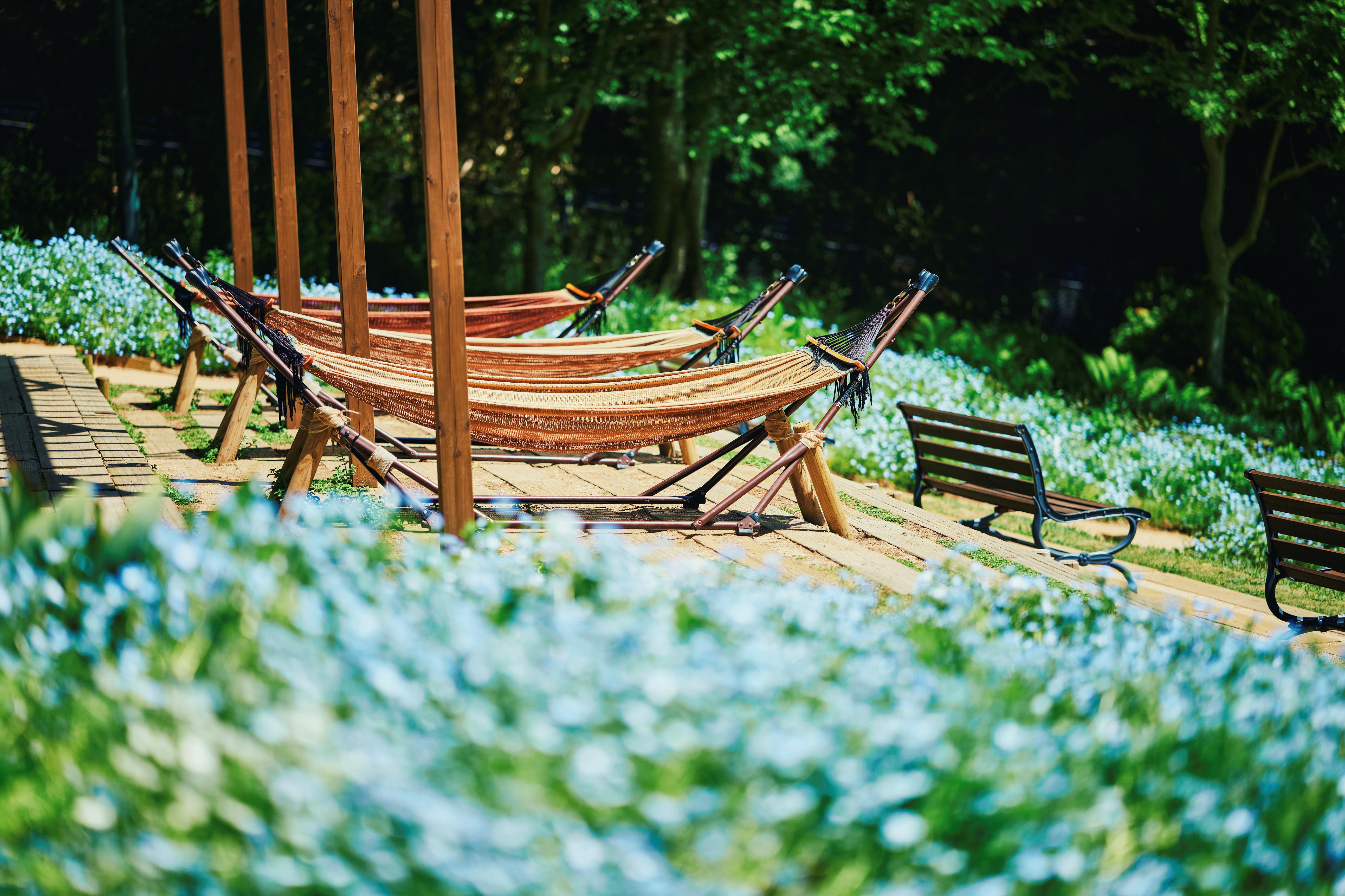 ハンモック_PLX_3259