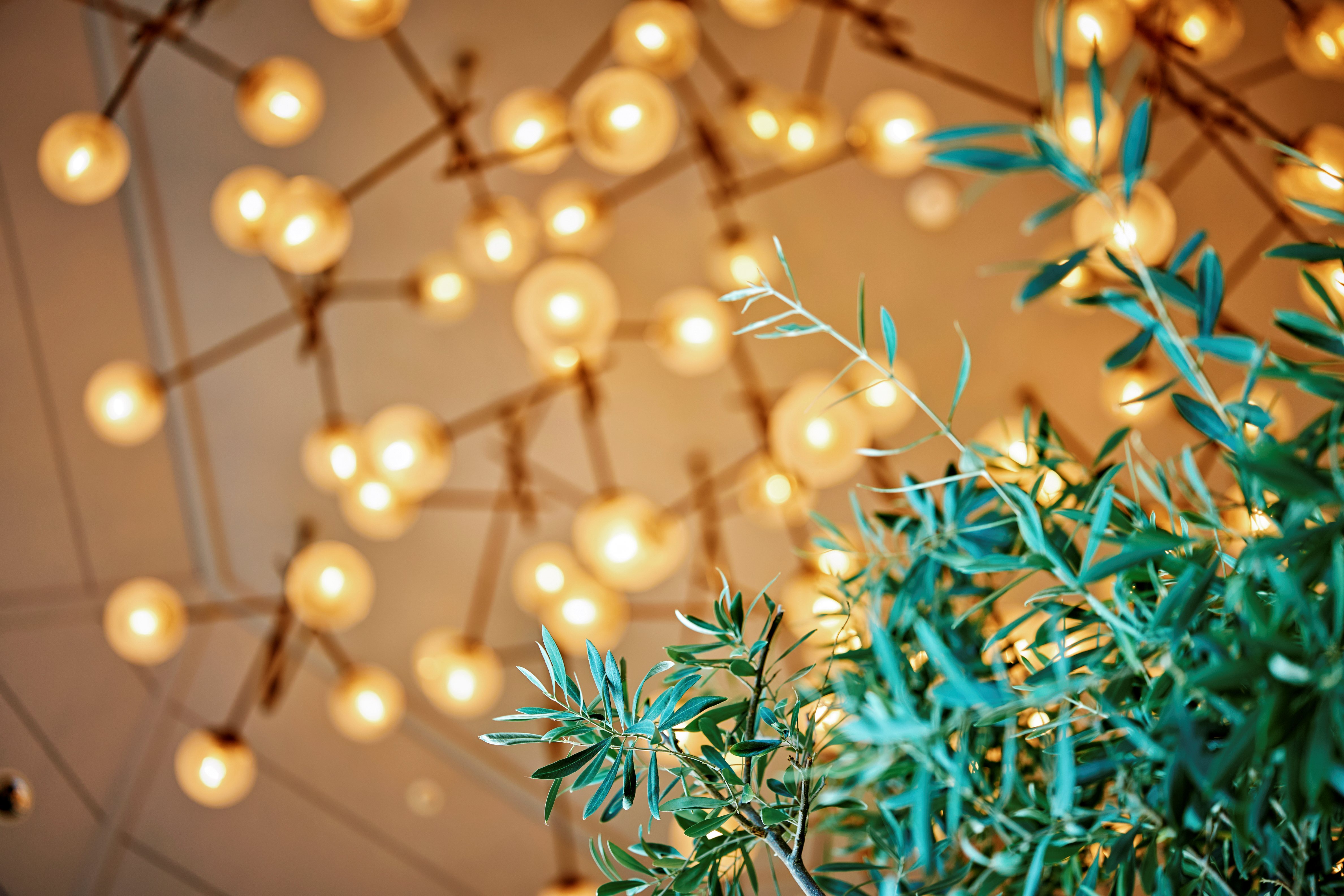 Herbal Cafe_シャンデリア_L1030811